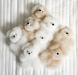 Alpaca Stuffed Micro Bear