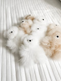 Alpaca Stuffed Micro Bear
